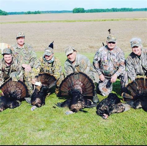 Wild Turkey Hunting In North Carolina at Skye Clarey blog