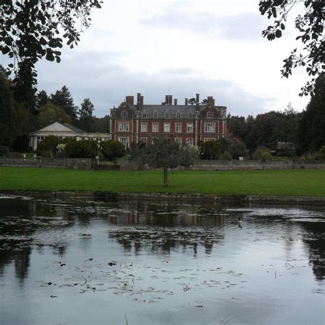 THE LYNFORD STAG (2026) All You Need to Know BEFORE You Go (with Photos ...