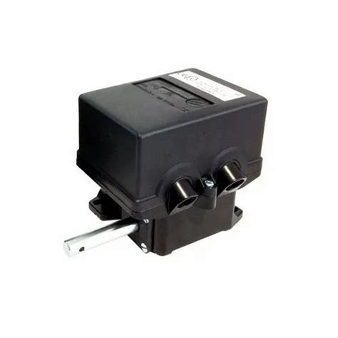 Limit Switches - FFH2C.1 Lever type Limit switch Manufacturer from Pune