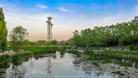 【奥森公园生态摄影图片】北京奥森公园生态摄影_太平洋电脑网摄影部落