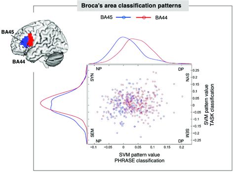 Image result for Broca's area Function