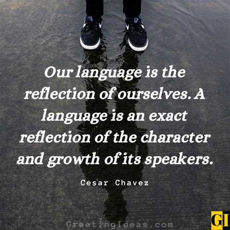 Image result for Quotes About Language Evolution