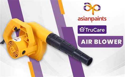 Asian Paints TruCare Hand Held Air Blower, 500W Electric Air Blower for ...