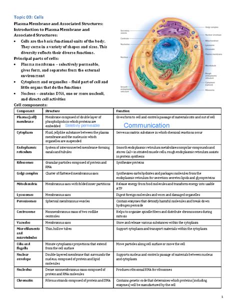 Cell Biology Study Guide: Structures & Functions (BIO 101) - Studocu