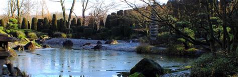 Bonn Tourism (2024): All You Need to Know Before You Go