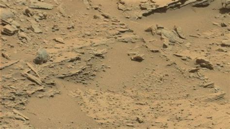 Image result for Alien Skull On Mars