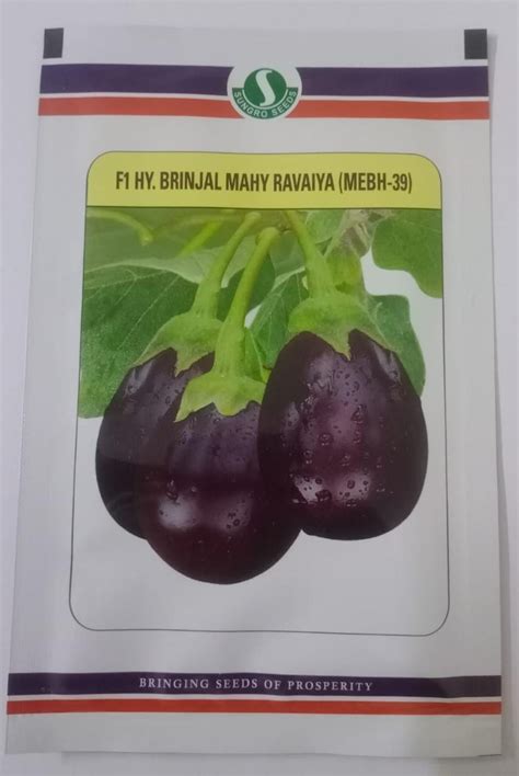 Mahyco Brinjal Mahy Ravaiya (MEBH-39)-10gm