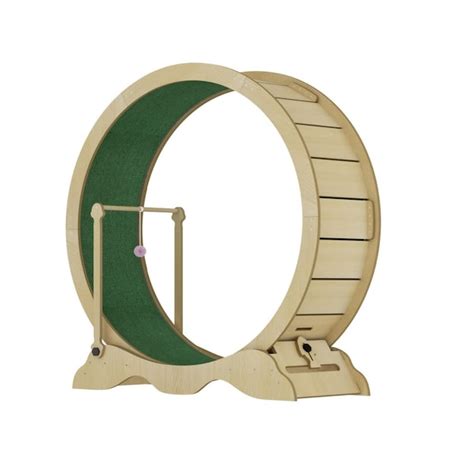 Garvee Cat Exercise Wheel for Indoor Cats 48Inch Large Cat Wheel Maine ...