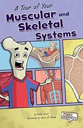A Tour of Your Muscular and Skeletal Systems (First Graphics: Body ...