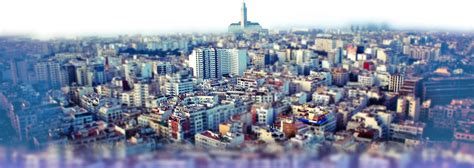 Marque | WeCasablanca