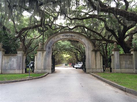 Wormsloe Plantation Georgia Wormsloe Tree Tunnel, Wormsloe Plantation,