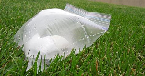 Exploding Ziploc Bag 的图像结果