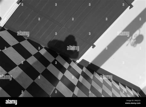 Image result for Shadow Explained