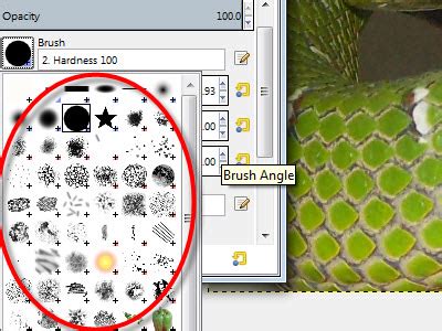Image result for GIMP Tutorials Eraser