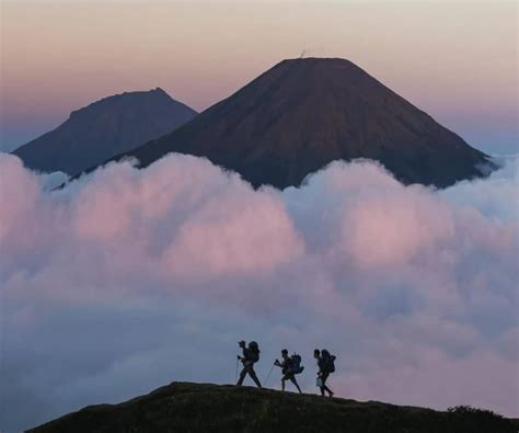 Image result for Passion Java Jet Tour