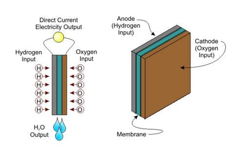 Chemical Potential Energy Examples 的图像结果