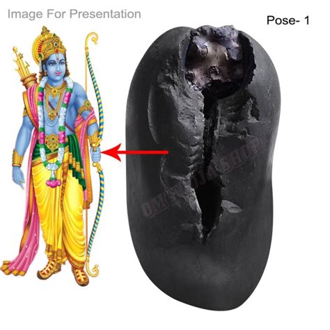 Buy Original Shaligrams Shila Stone | Vishnu Shila