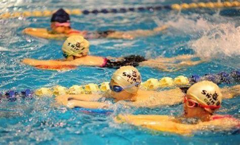 南开学子在天津市游泳比赛中屡创佳绩-多彩校园-南开大学