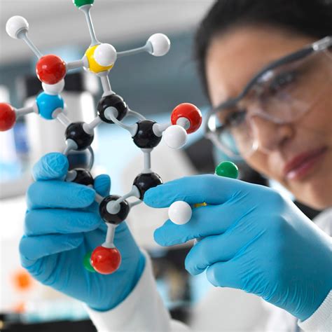 Image result for Understanding Rabbit Behavior