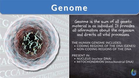 Genome Explained 的图像结果