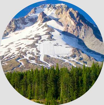 Image result for HTML Logo Transparent Background