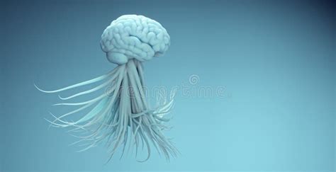 Objectives of Deep Learning 的图像结果