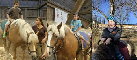 Mosaik GmbH - Startseite Mosaik GmbH in Graz