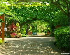 Garden Photo Wallpaper Hd by Garden Wallpapers Hd Wallpaper Pic Gallery Garden Photo Wallpaper Hd