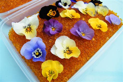 Using silica gel to dry flowers | Dried Flower Craft