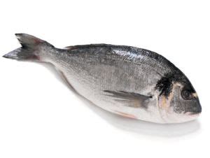 justcooking.in - Food Dictionary - Sea Food - Gilt-Head Bream