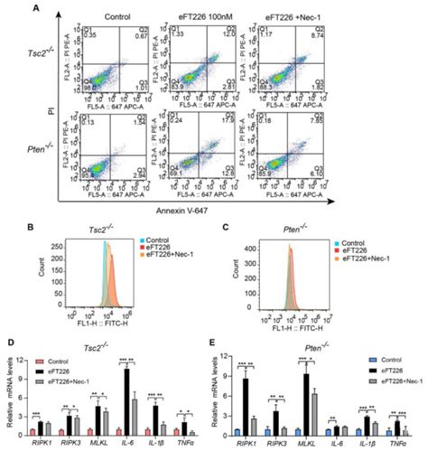 eIF4A1 Inhibitor Suppresses Hyperactive mTOR-Associated Tumors by ...