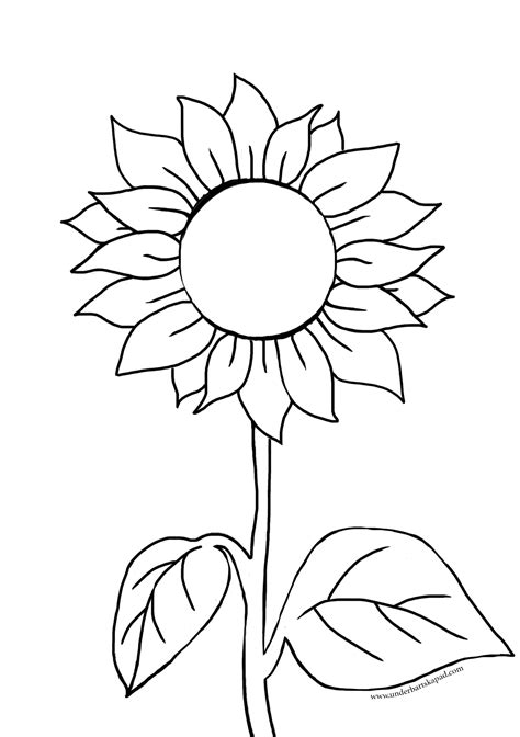 Sunflower Coloring Sheet Pdf