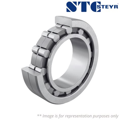 Leading Supplier of NNC4948V STEYR • Store SantEnt