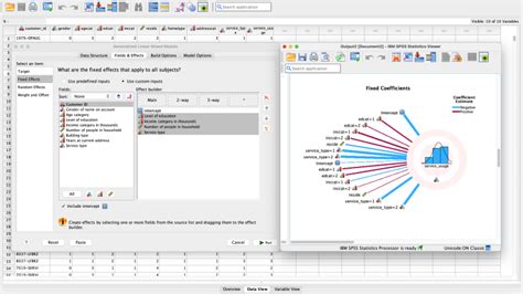 SPSS Software Computer 的图像结果
