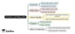 Mind Map: Feminine and Masculine - Class 1 PDF Download