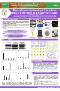 The 2nd International Electronic Conference on Entomology