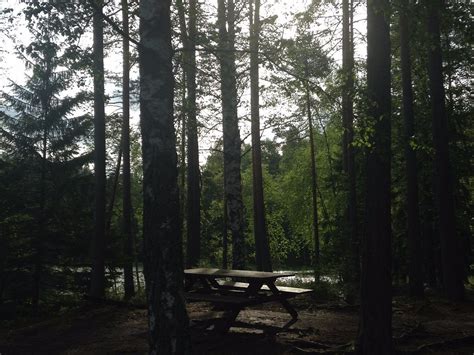 My Suomi Oy (Helsinki) - All You Need to Know BEFORE You Go