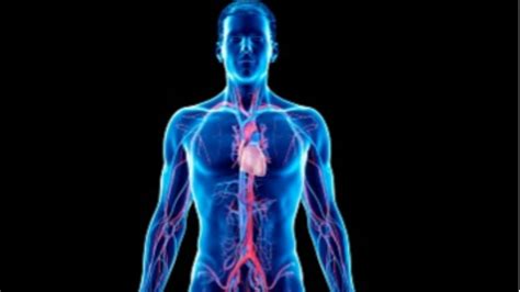 कमजोर हो चुके शरीर को फौलादी बना देंगे ये 3 फूड, बीमारियां भी भागेंगी ...