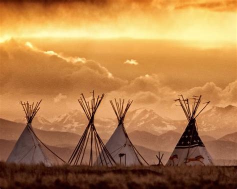 Respite in the city - Reviews, Photos - Plains Conservation Center ...