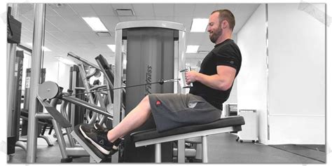 Image result for Horizontal Row Exercise