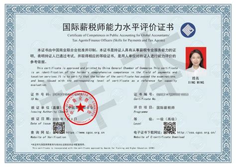 企业证书_上海顶尖国际物流有限公司