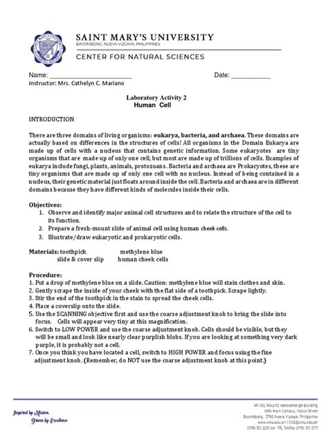 Cheek Cell Experiment Method 的图像结果