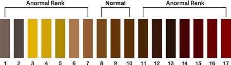 Dışkı Rengi, Şekli Ve Kokusu Neyi Belirtir?