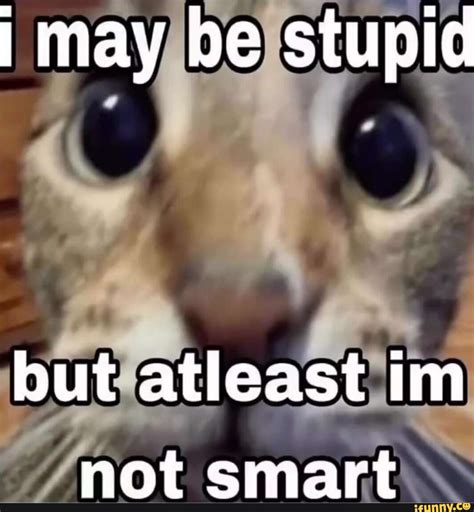 May be stupid but atleast im not smart - iFunny