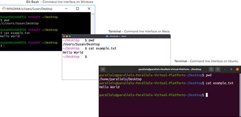 Image result for Command Line Tutorial