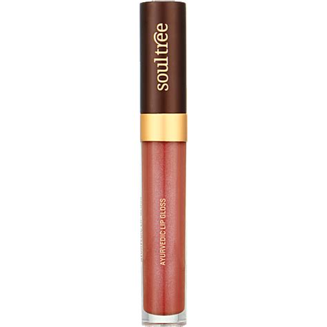 Buy Soultree Ayurvedic Lip Gloss - Sunshine Online at Best Price of Rs ...
