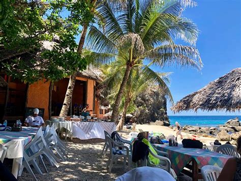 APO ISLAND BEACH RESORT - Specialty Resort Reviews & Photos - Tripadvisor