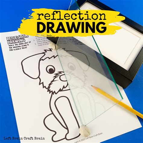 Image result for Drawing Reflection Triangle