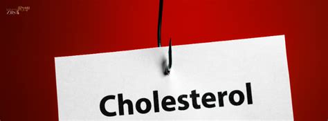 Natural Ways to Manage Cholesterol Levels for Better Heart Health – Ziist