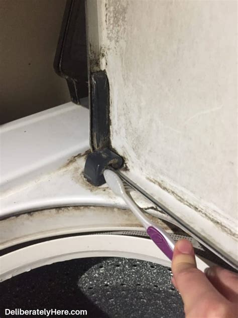 Image result for Clean Inside Top Loading Washing Machine